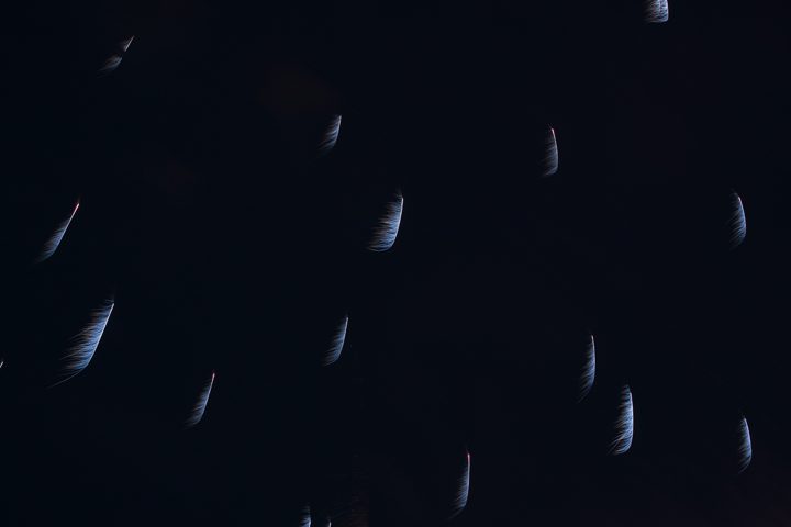 「天使の羽」