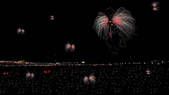 「夏の夜 ヒカリ花畑 蝶の舞い」