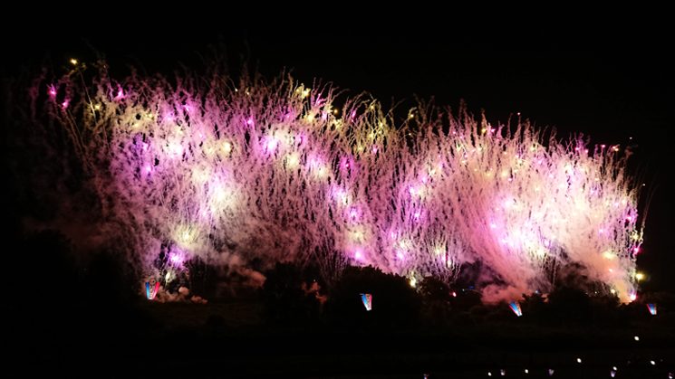 「夏夜のお花畑」