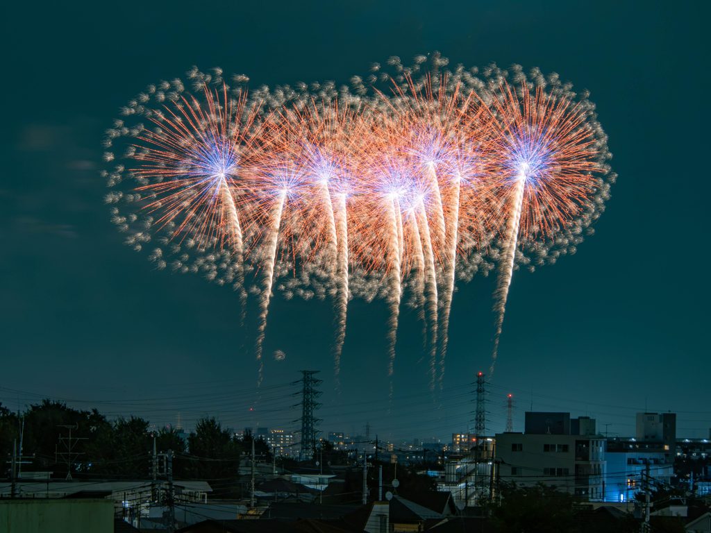 「夜空の綿毛」