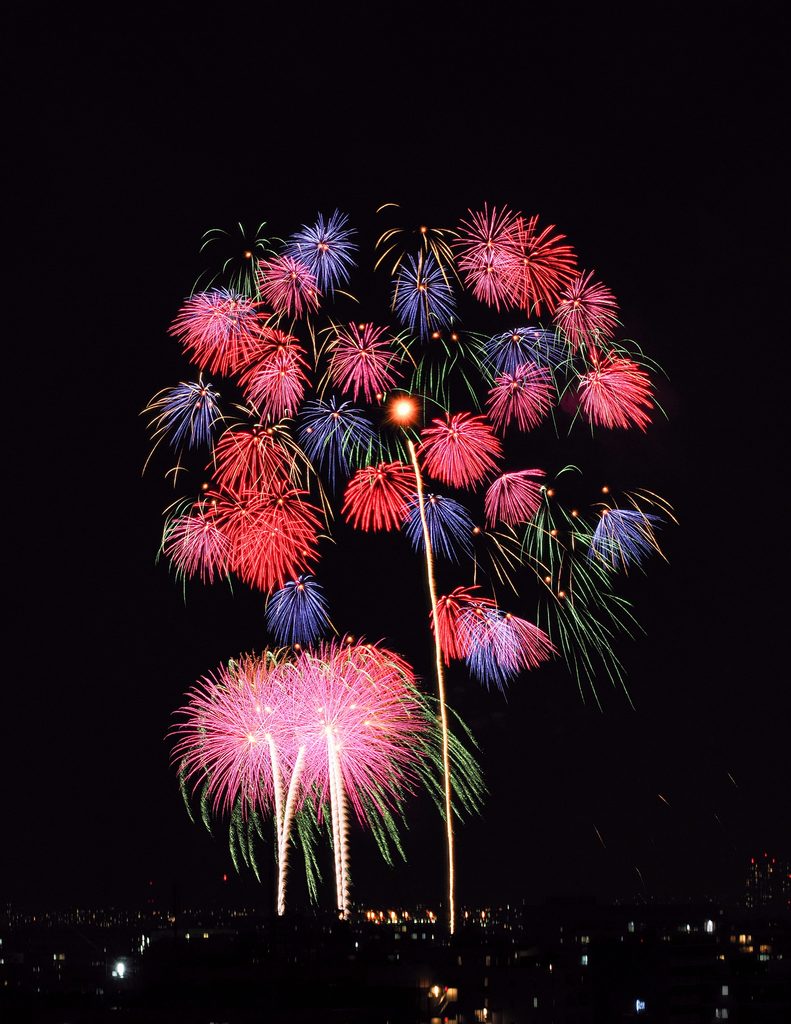 「板橋の 夜空を照らす 千輪菊」